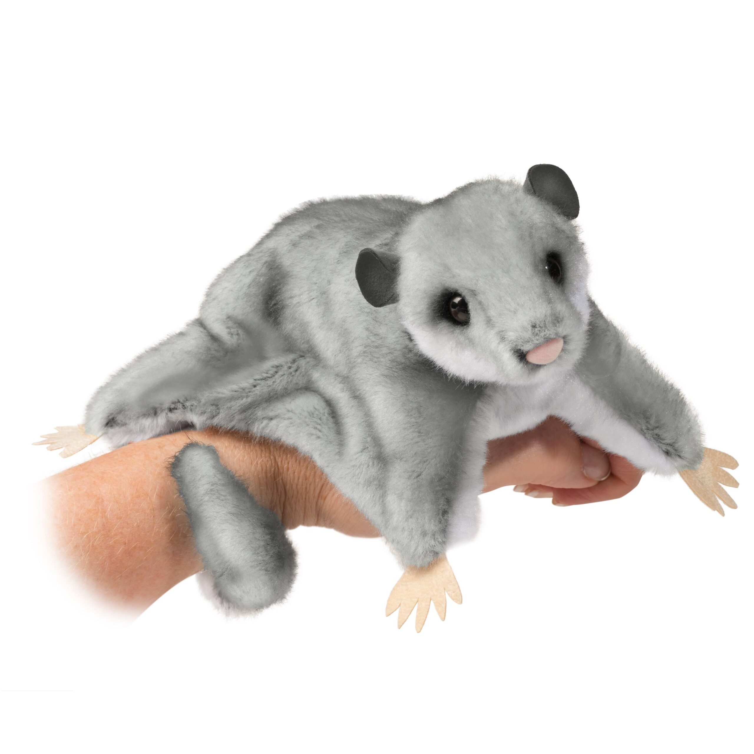 4123-scaled-1